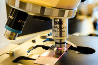 In de grensstreek Vlaanderen-Nederland werken 9 ziekenhuizen, 7 publieke gezondheidsdiensten, 7 kennisinstellingen en 3 bedrijven samen aan het i-4-1-Health project. Dit project richt zich op infectiepreventie en het bestrijden van antibioticaresistentie bij mens en dier (One Health) door middel van onderzoek en innovatie.